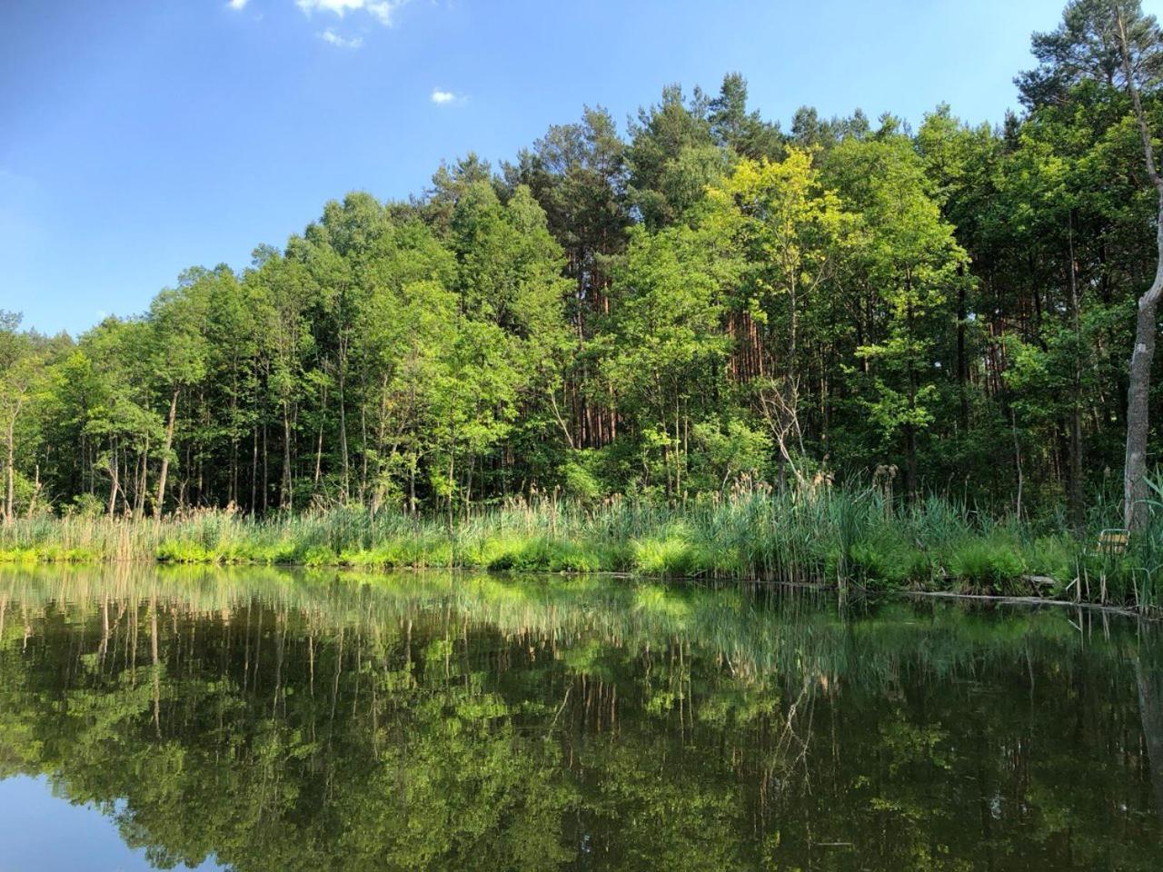 Biala's - Z Sauna I Jacuzzi W Puszczy Noteckiej - Tylko Dla Doroslych Holiday home